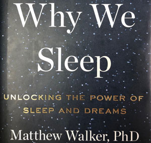 Insomnia Insomnia