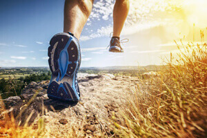 General Wellness General Wellness